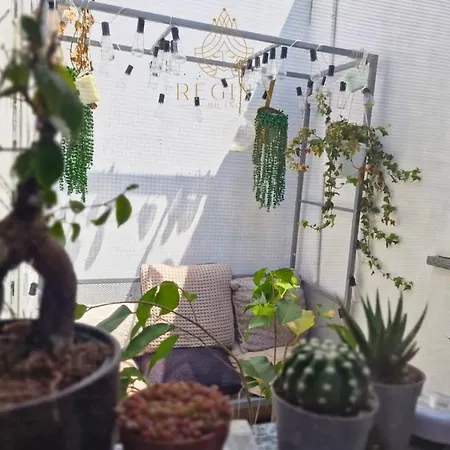 Appartement Boutique With Wifi E Small Garden *